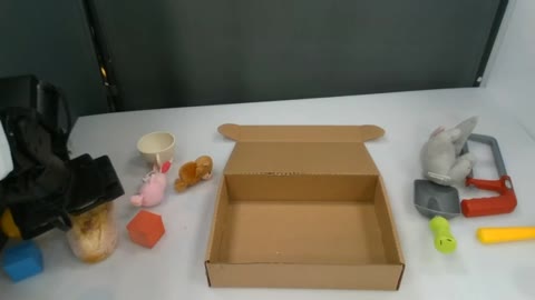 DreamCan real-world packing task